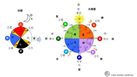 三陰三陽 日本|三陰三陽卦について 